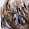 ORIBE, Шампунь для светлых волос "Великолепие цвета", 250 мл, Bright Blonde Shampoo 