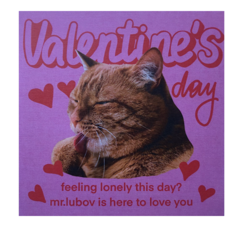 Открытка "VALENTINE'S DAY Mr LUBOV"