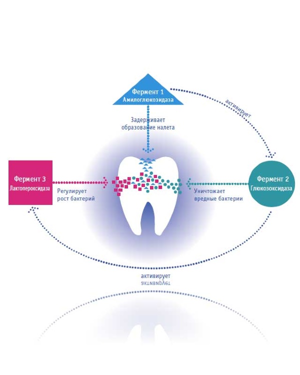 CURAPROX Зубная паста Enzycal Zero, 75 мл. (с 0 лет) CURAPROX Зубная паста Enzycal Zero, 75 мл. (с 0 лет)
