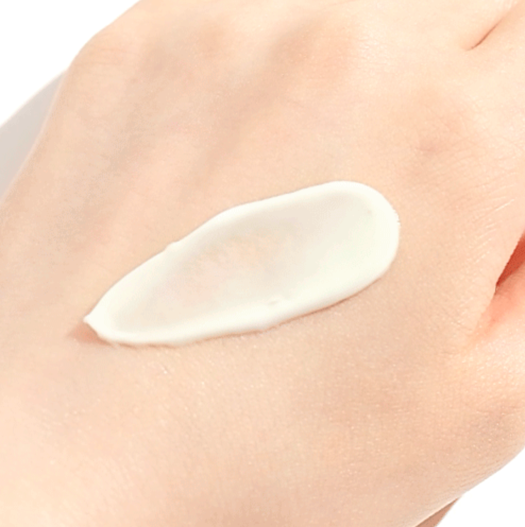 ROUND LAB, Солнцезащ-й увл-й крем с березовым соком, 50мл,Birch Juice Moisturizing Sunscreen SPF 50+