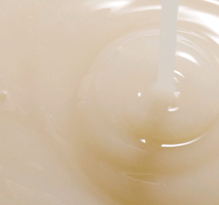 ROUND LAB, Питательная сыворотка с чёрной соей и комплексом витаминов, 50 мл, Soybean Serum