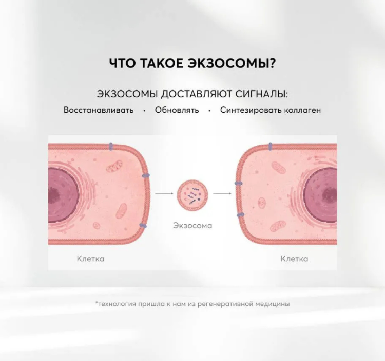 SKINJESTIQUE, Восстанавливающая сыворотка с экзосомами и бакучиолом,30 мл,Exosome Regenerative Serum