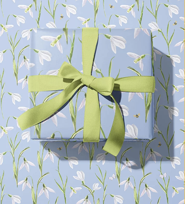 Обертка "О' ПОДСНЕЖНИКИ"