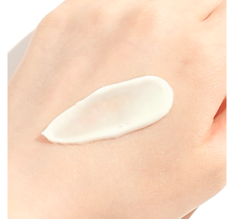 ROUND LAB, Солнцезащ-й увл-й крем с березовым соком, 10мл,Birch Juice Moisturizing Sunscreen SPF 50+