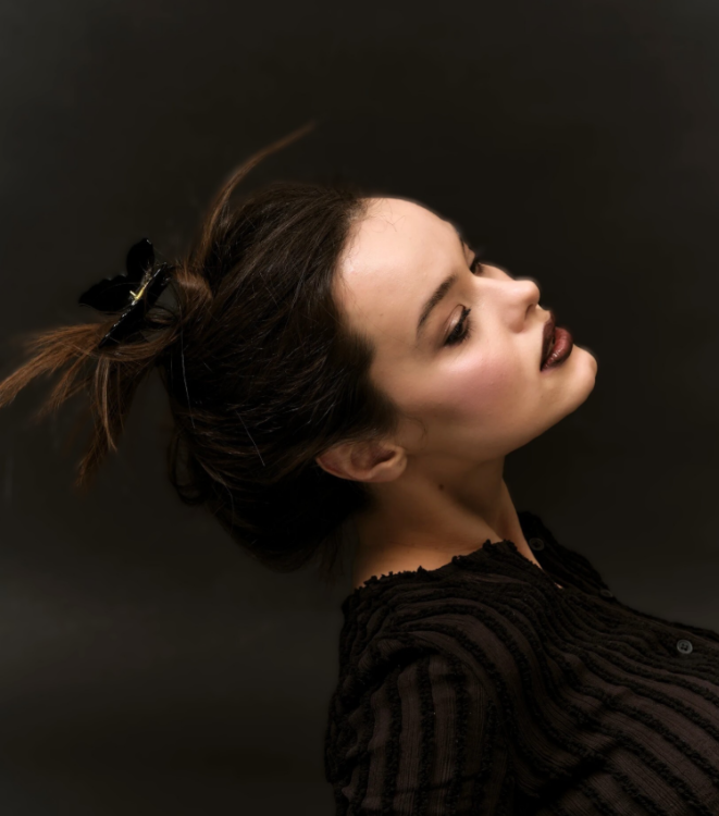 ASSORO, Крабик для волос, цвет (Черная бабочка)