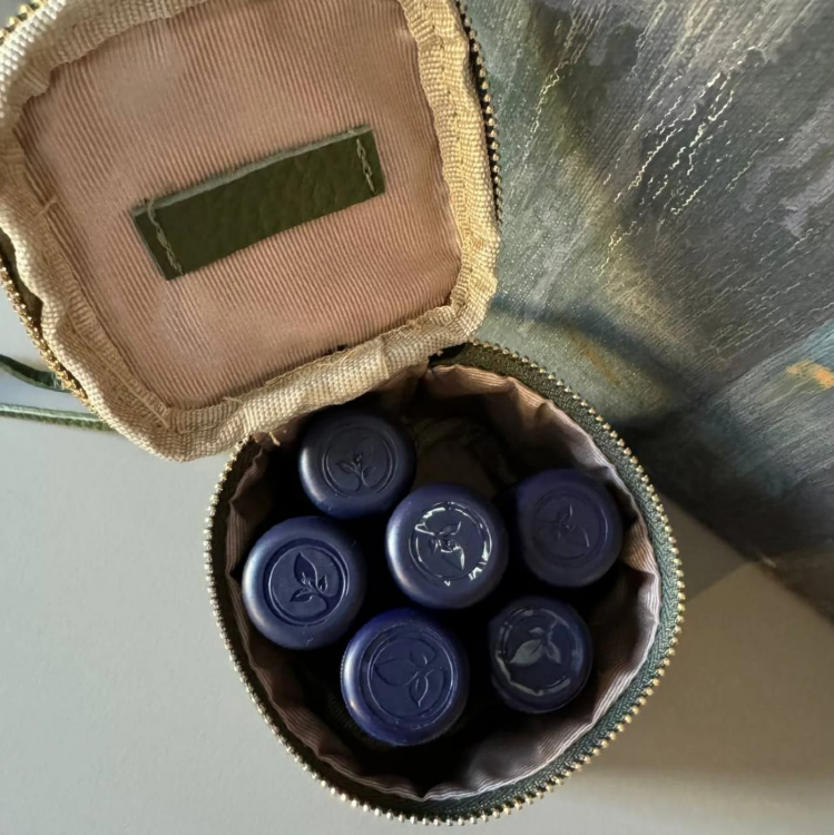 Косметичка-органайзер для эфирных масел, цвет (красная) 