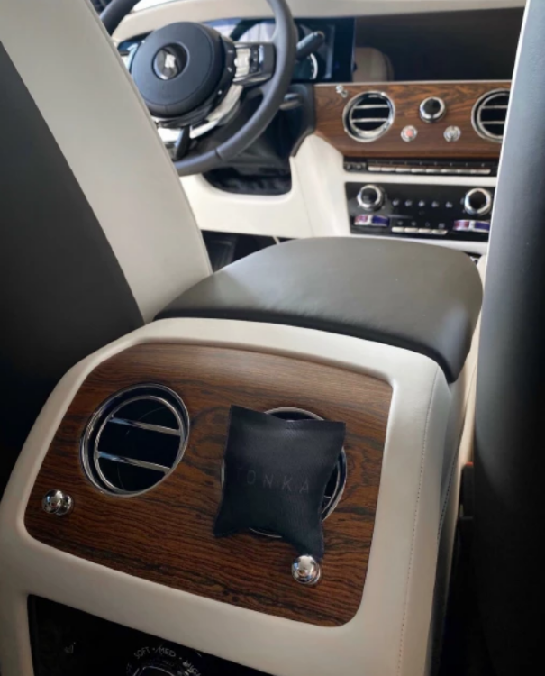 TONKA Саше для автомобиля  "YUZHNAYA KOZHA" 1шт