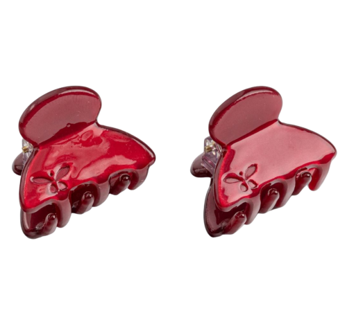 ASSORO, набор крабов для волос, цвет (Рубин мини)